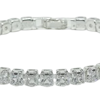 70596-var-main